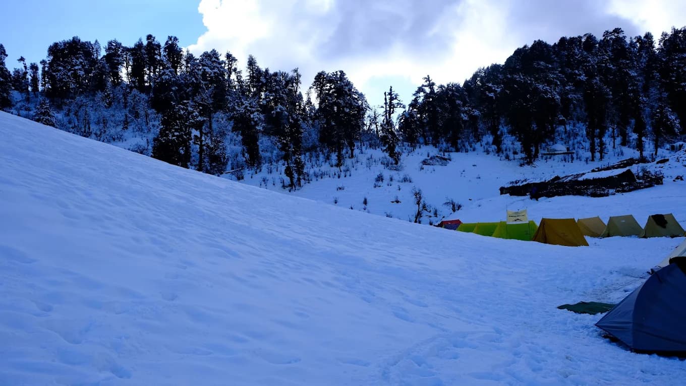 Dayara Bugyal Trek — photo 3