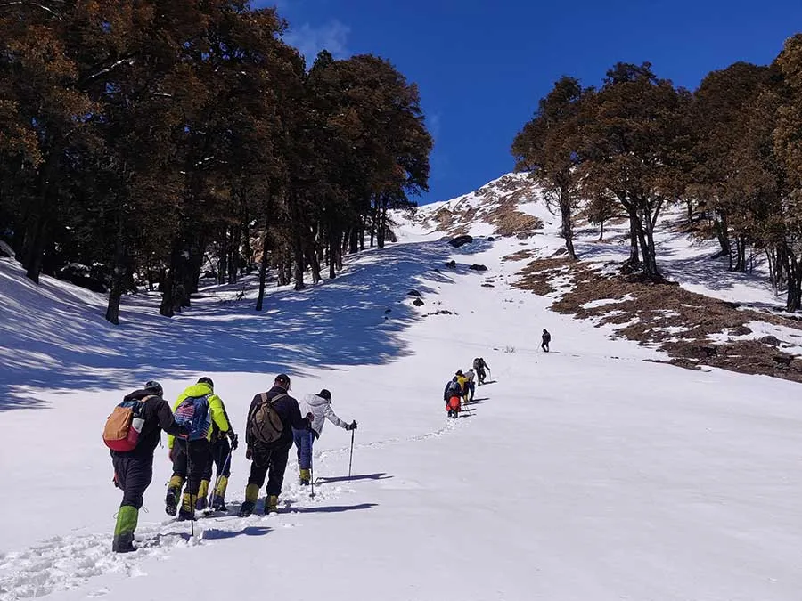 Kuari Pass Trek — photo 3