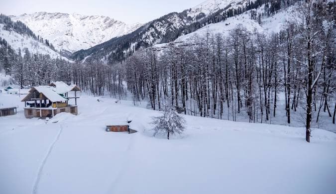 Manali — photo 3