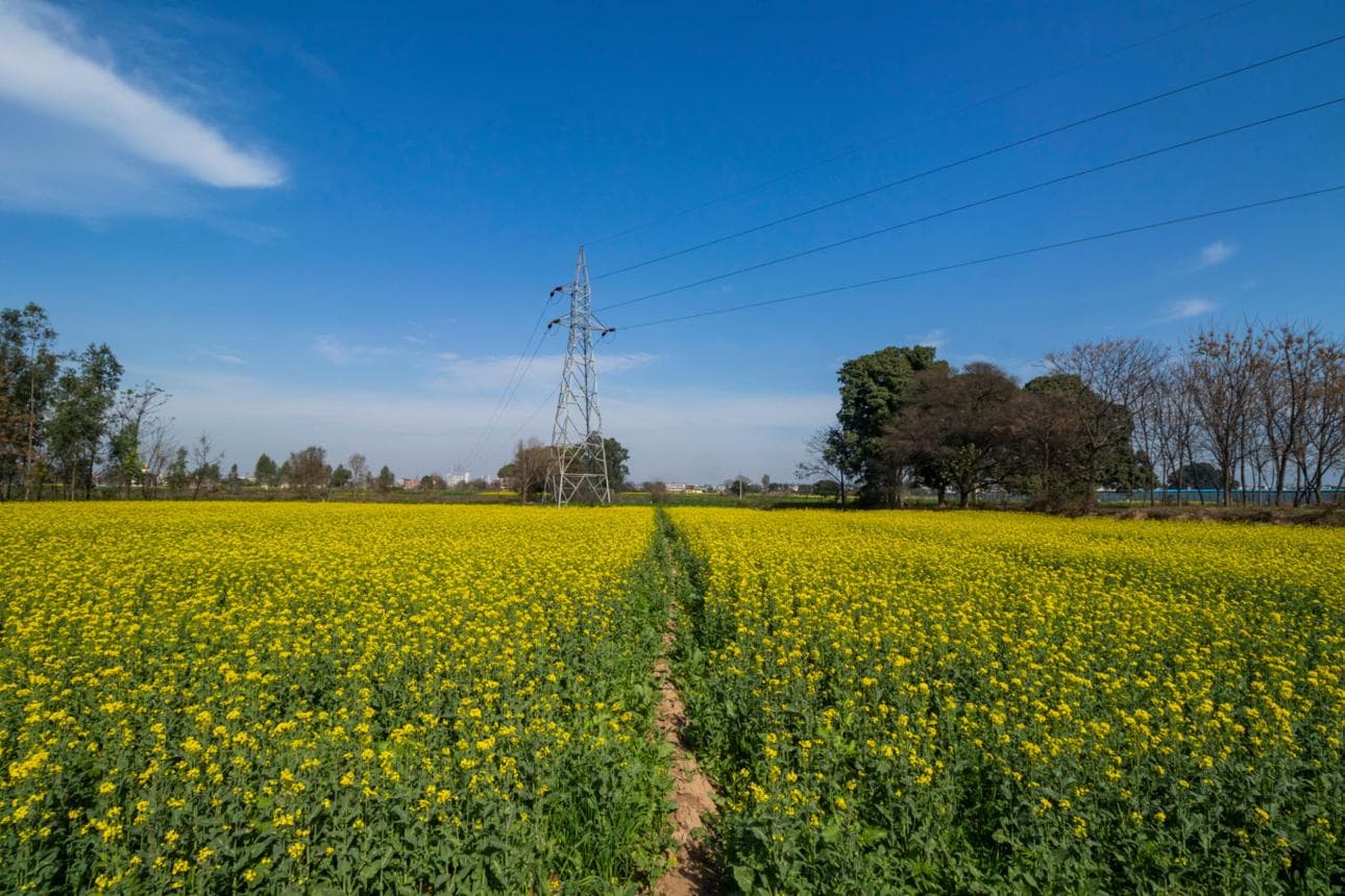 Punjab