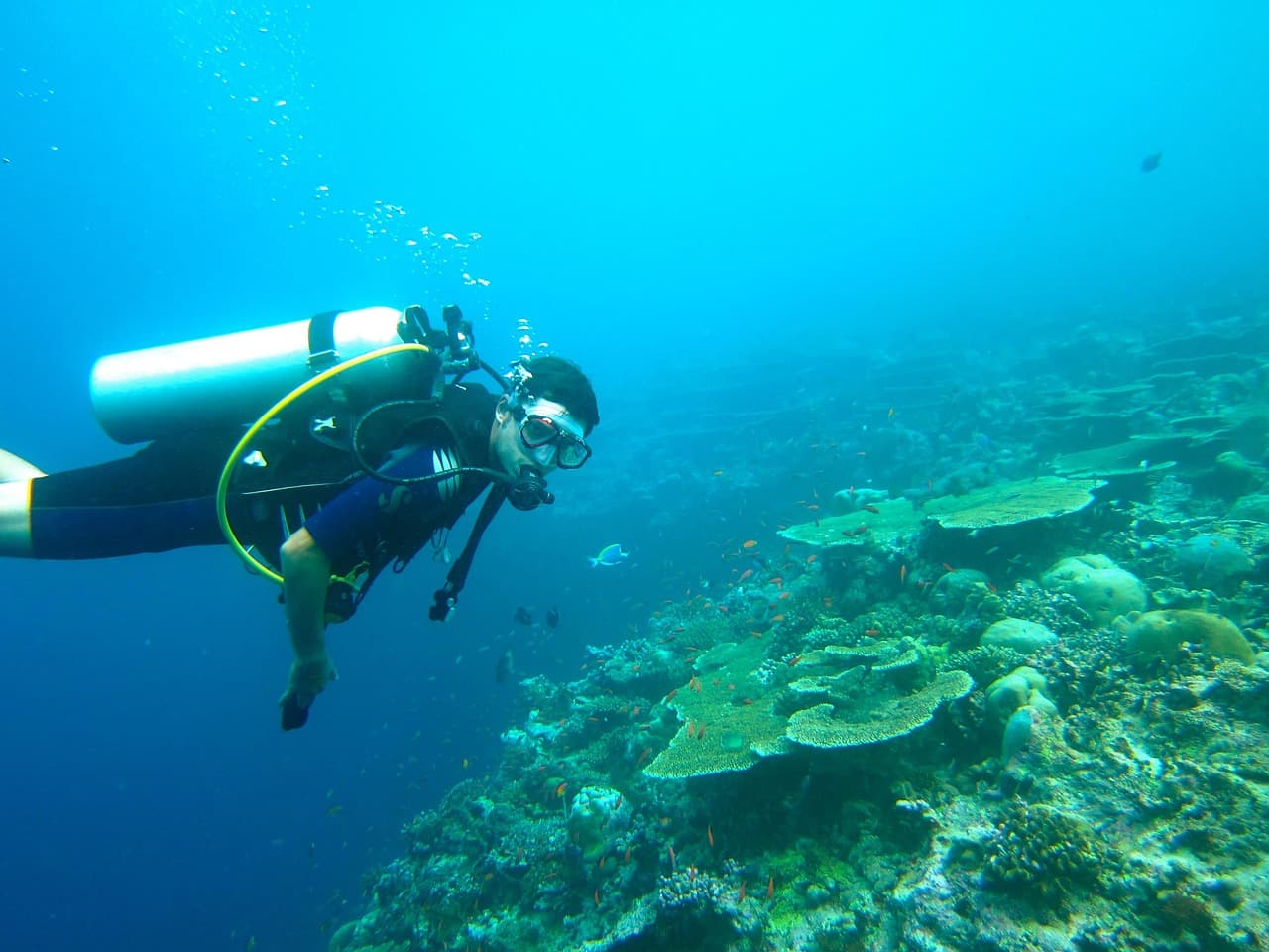 Scuba Diving in Pondicherry