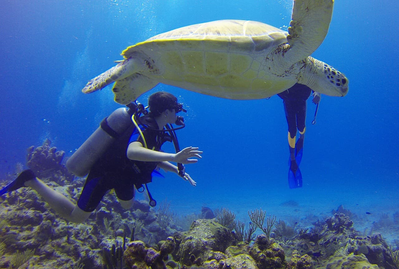 Scuba Diving in Tarkarli (Maharashtra)