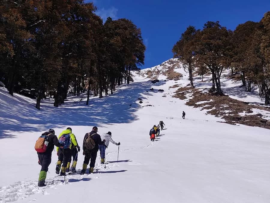 Kuari Pass Trek — photo 4