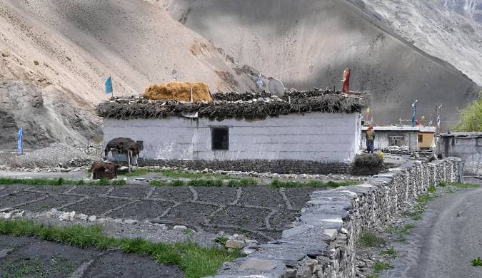 Gue Village — photo 2